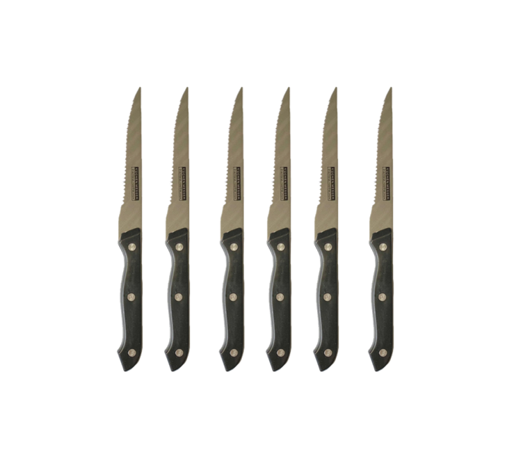 6Pack Metal Kitchen Fruit Knives with Plastic Handles