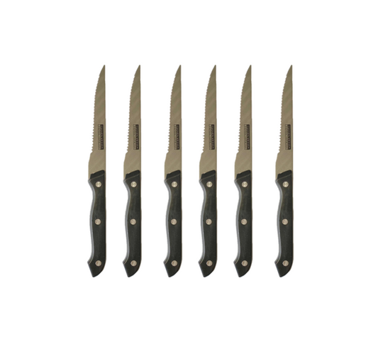 6Pack Metal Kitchen Fruit Knives with Plastic Handles