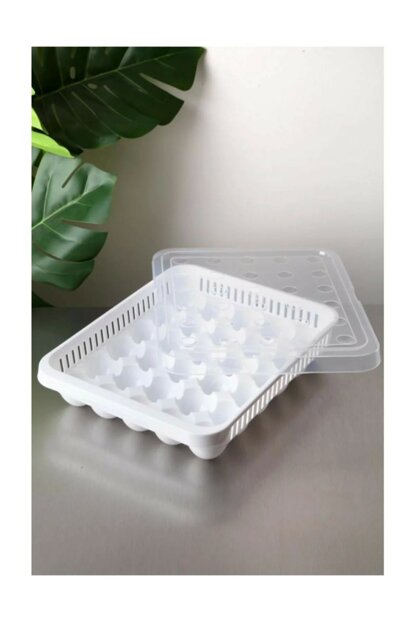 Durable Plastic Egg Storage Container Box 30 Eggs Capacity