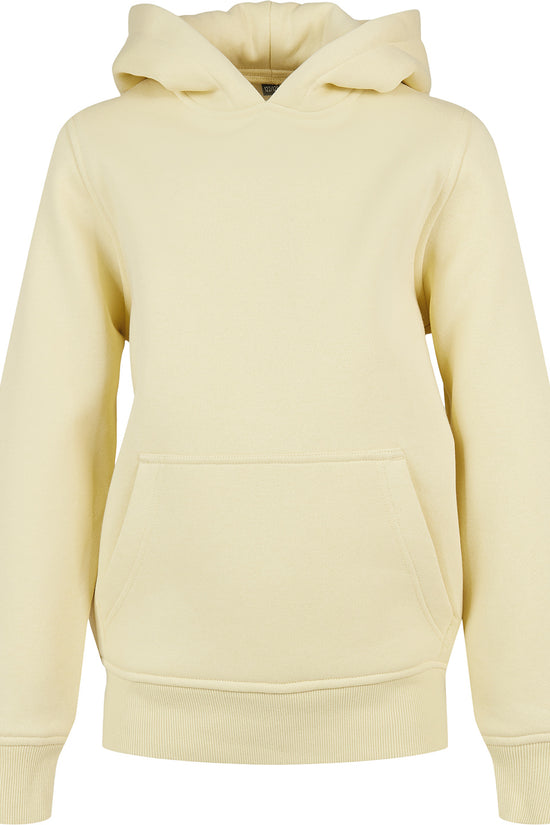 Kids Basic Unisex Hoodie Plus Sizes Available