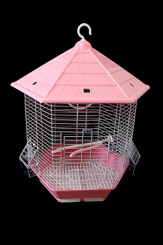 Hexagon Metal Bird Cage for Budgies Finches and Canaries Indoor 26 x 30 cm