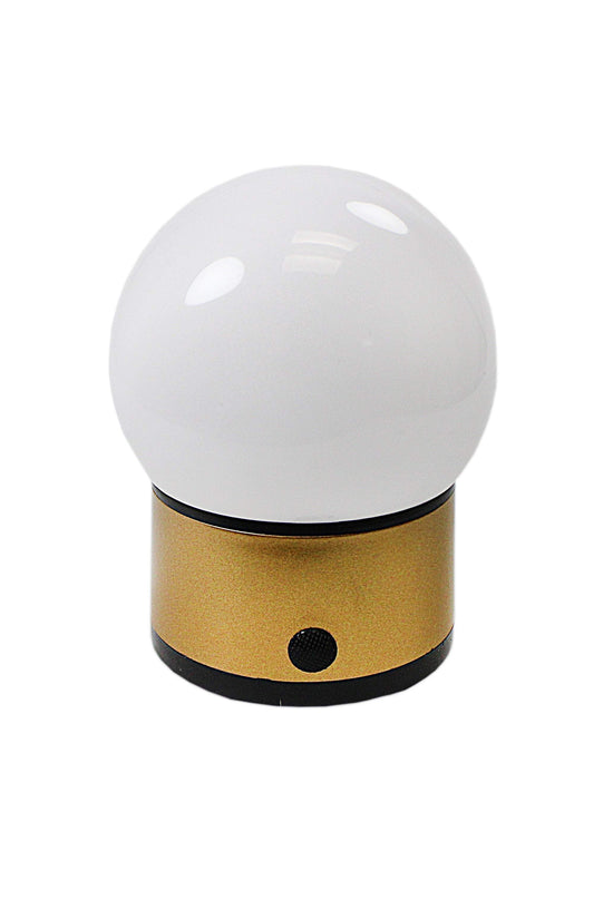 Modern LED Round Globe Battery Operated Light for Versatile Use