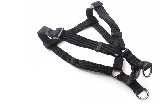 Adjustable Dog Leash Rope with Foam Grip and Harness Assorted Colors