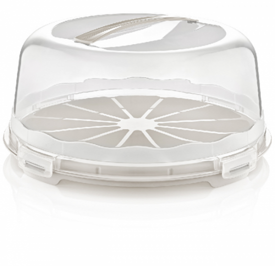 Durable Plastic Cake Pastry Carry Storage Box with Cover 30 cm Assorted Colors