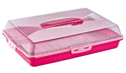 Premium Plastic Cake Pastry Party Tray Storage Box with Cover