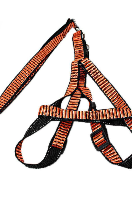 Durable Pet Dog Leash in Vibrant Assorted Colors