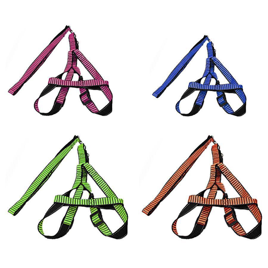 Durable Pet Dog Leash in Vibrant Assorted Colors
