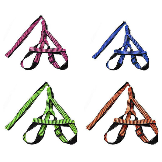 Durable Pet Dog Leash in Vibrant Assorted Colors