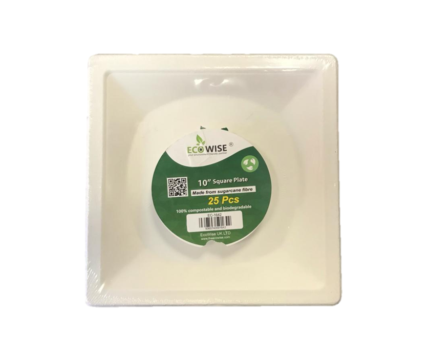 EcoFriendly Disposable Bagasse Sugarcane Square Plates Pack of 250