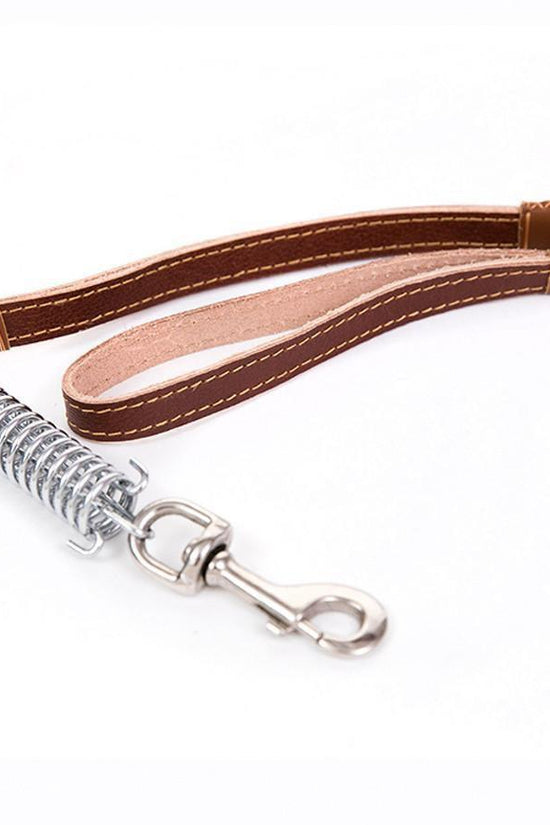 Durable Pet Dog Leash Lead with Spring Buckle Clip Assorted Colors