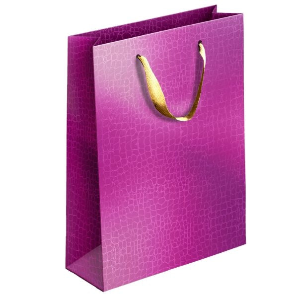 Embossed Metallic Paper Gift Bag Medium in Assorted Colors