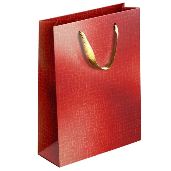 Embossed Metallic Paper Gift Bag Medium in Assorted Colors