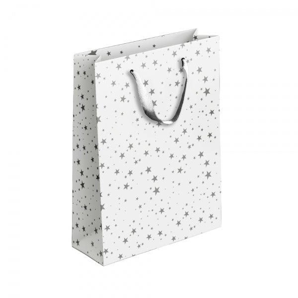 Large GoldSilver Patterned Paper Gift Bag Assorted Designs
