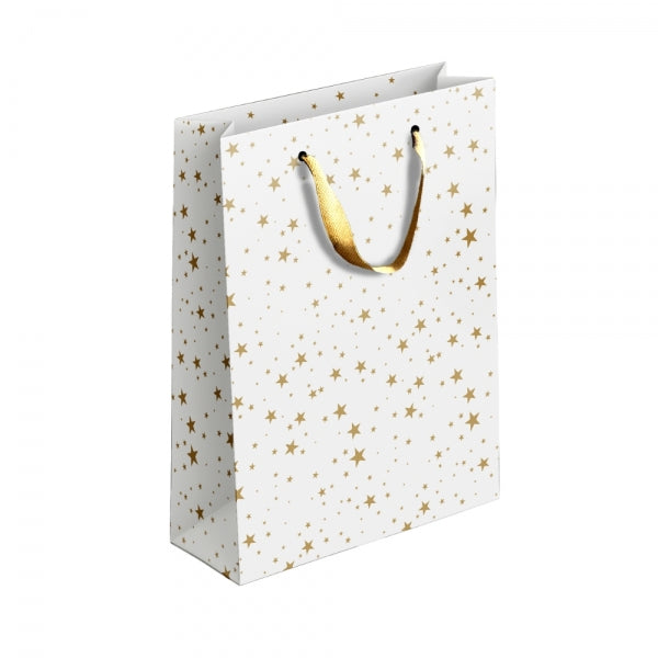 Large GoldSilver Patterned Paper Gift Bag Assorted Designs