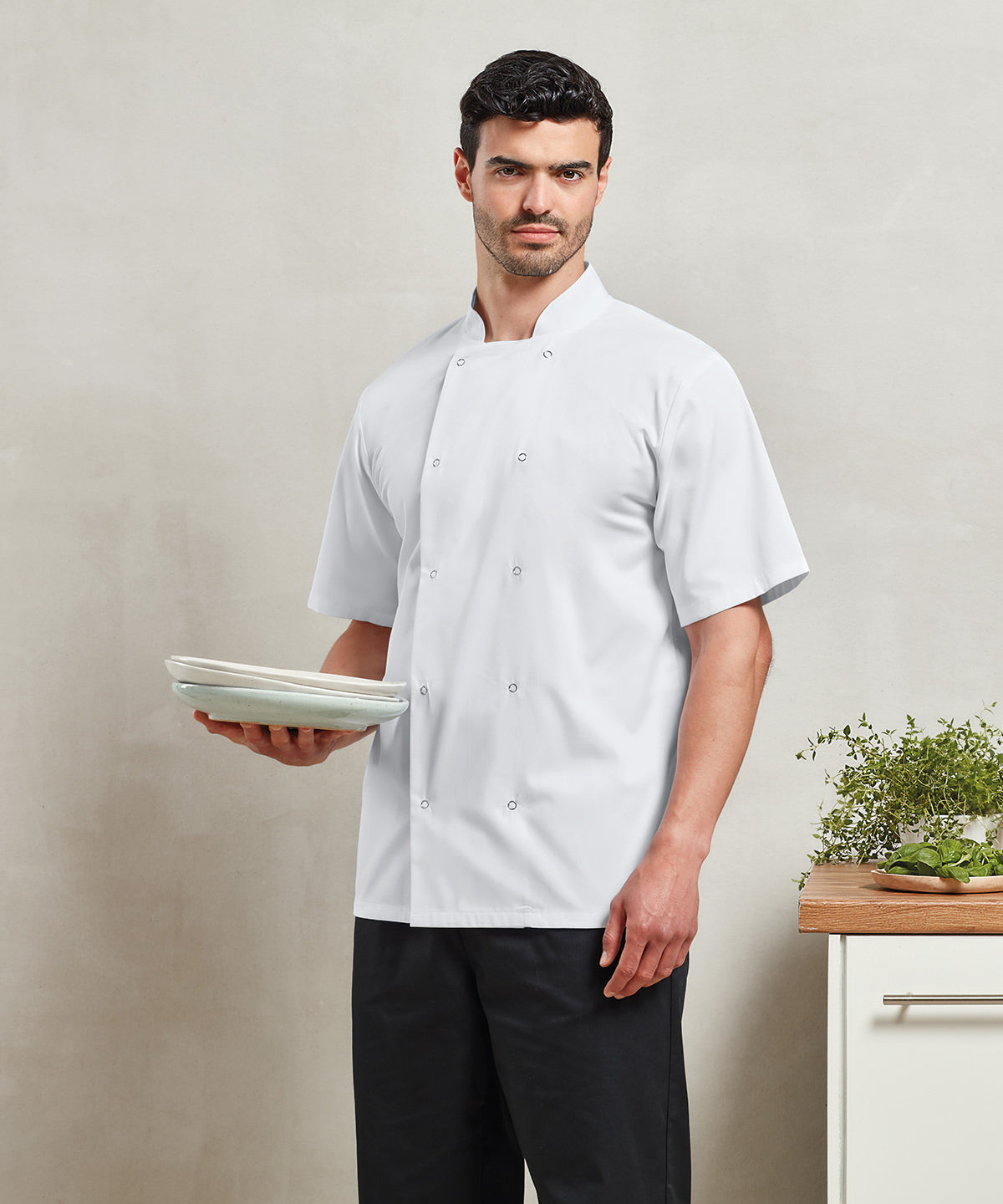Premier Studded Short Sleeve Chef Jacket for Men
