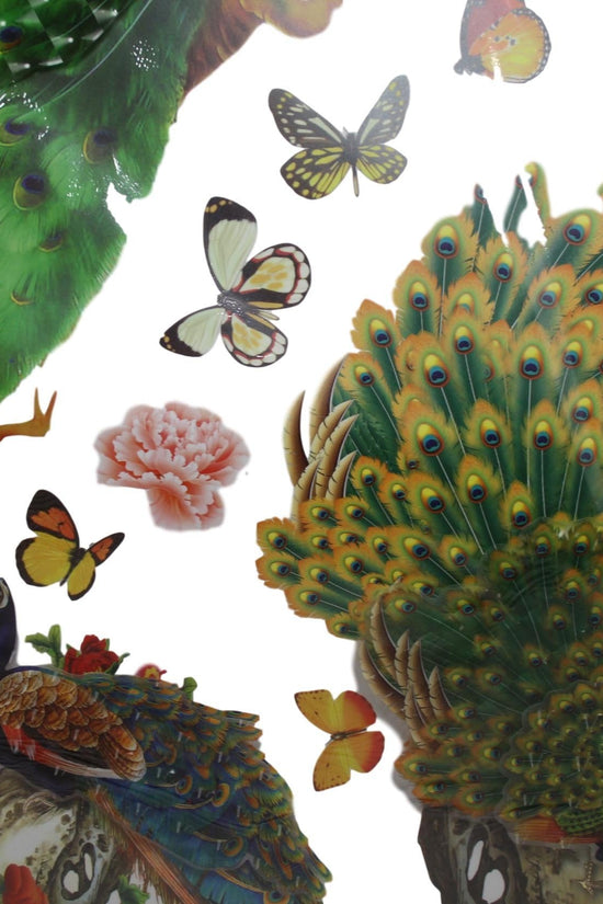 Stylish Room Dcor Large Wall Stickers Assorted Designs 70x49cm