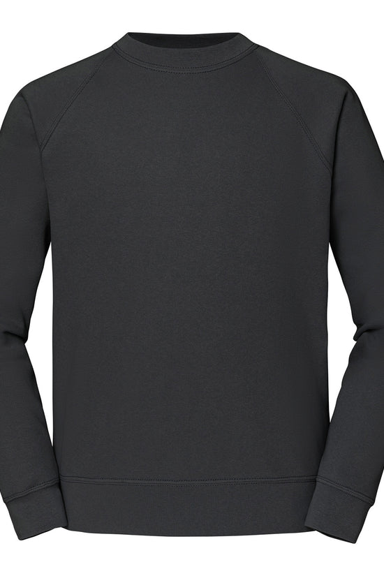Classic 8020 Raglan Sweatshirt for Men Plus Size