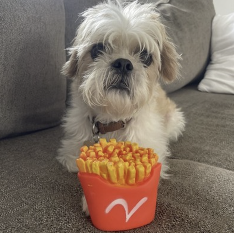 French Fries Silicone Pet Chew Toy for Dogs