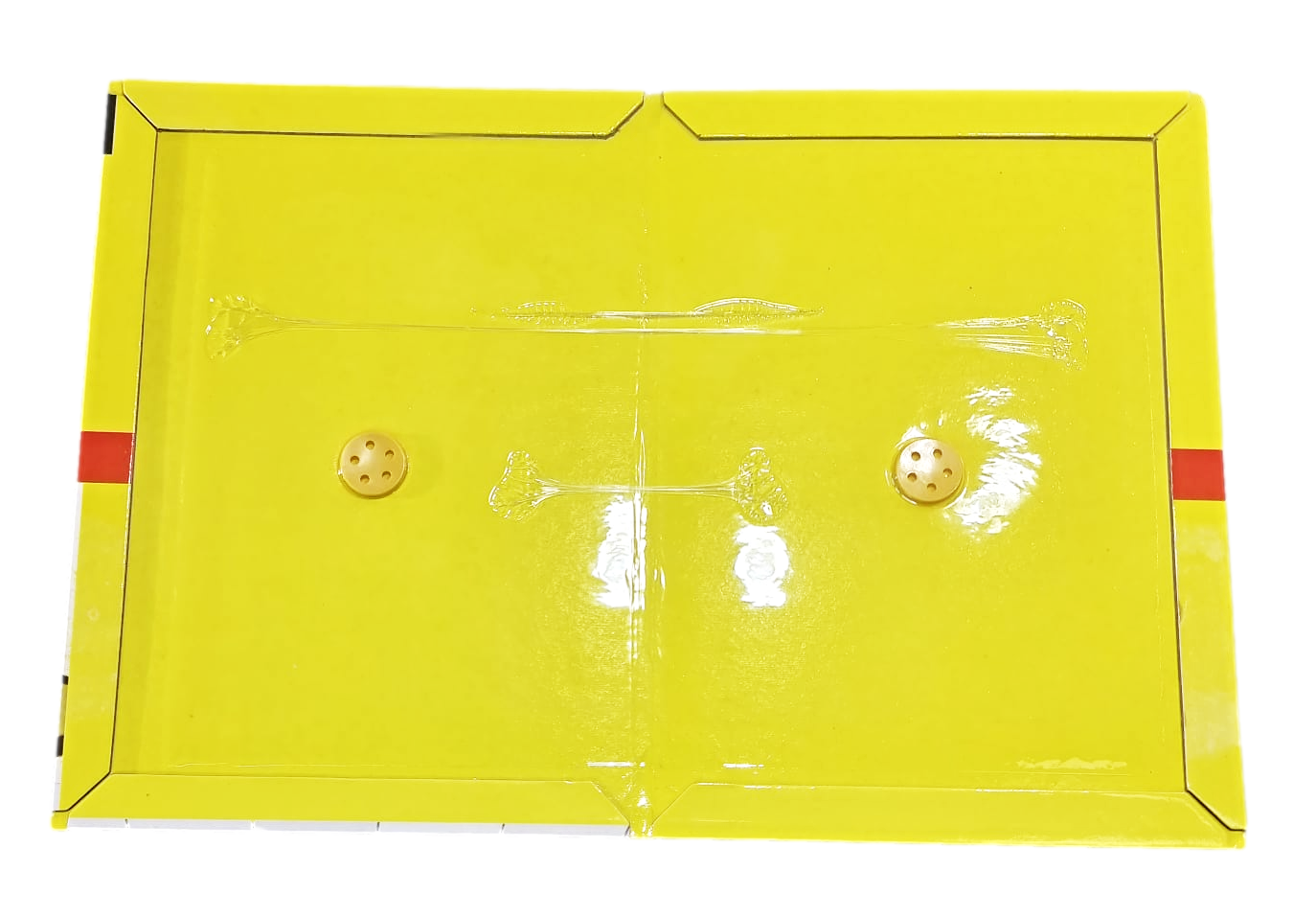 Effective PoisonFree Rat Mouse Glue Traps 32x22 cm