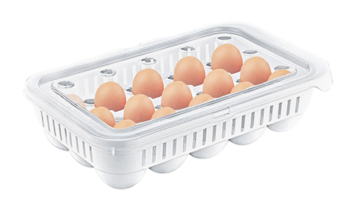 15Egg Storage Container With Secure Lid