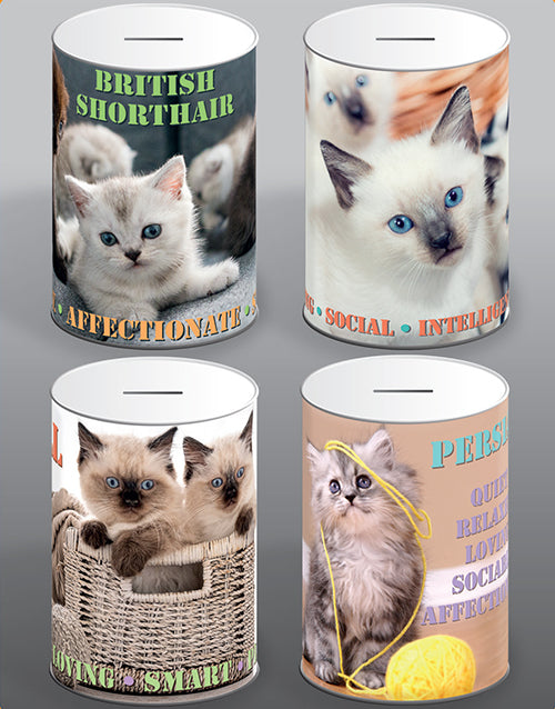 Cute Cat Money Tin 100mm x 150mm Assorted Designs