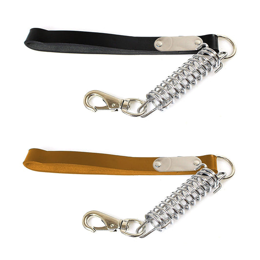 Durable Pet Dog Leash Lead with Spring Clip Assorted Colors