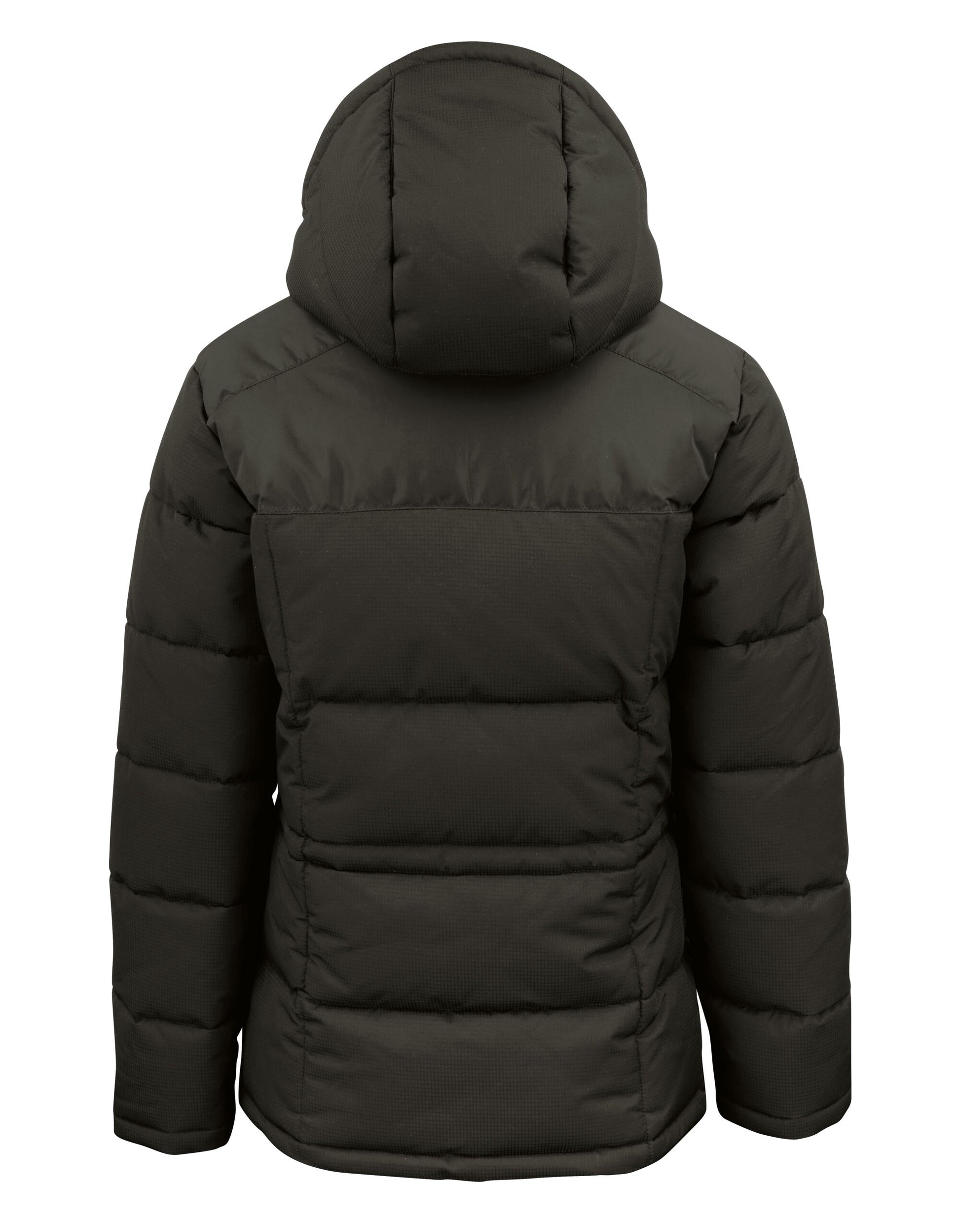 Clique Ladies Colorado