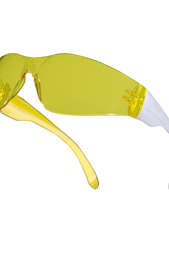 Delta Plus Brava 2 Safety Glasses