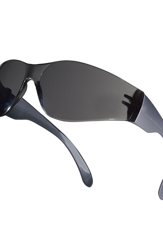 Delta Plus Brava 2 Safety Glasses