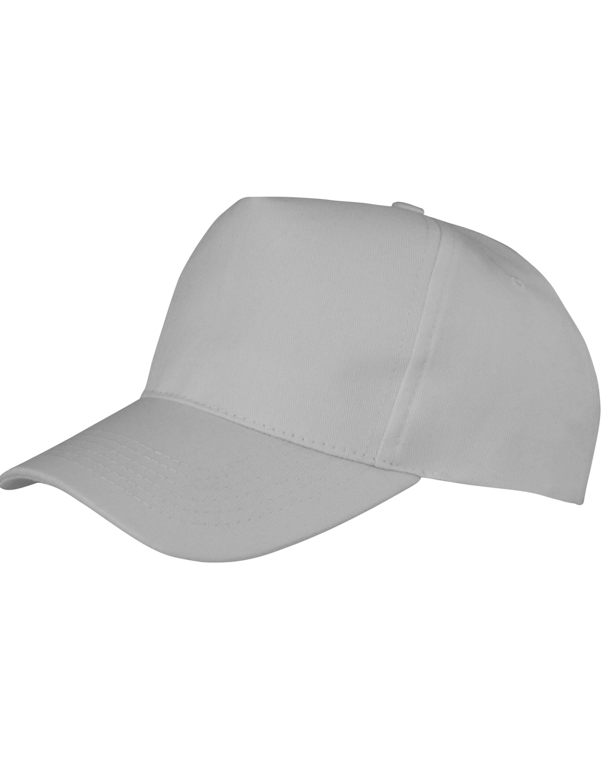 Result Core Boston 5 Panel Printers Cap