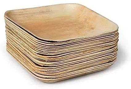 EcoFriendly Areca Palm Leaf Plates 8 Pack of 25