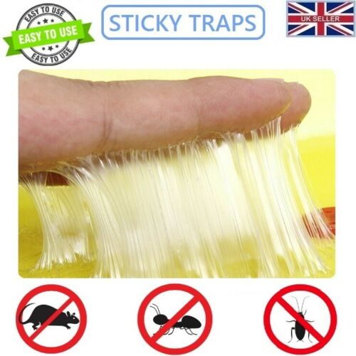 Effective PoisonFree Rat Mouse Glue Traps 32x22 cm
