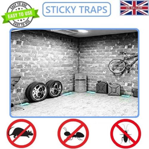 Effective PoisonFree Rat Mouse Glue Traps 32x22 cm