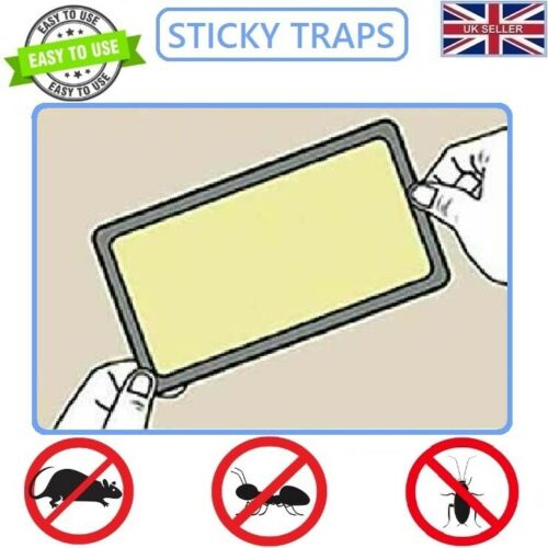 Effective PoisonFree Rat Mouse Glue Traps 32x22 cm