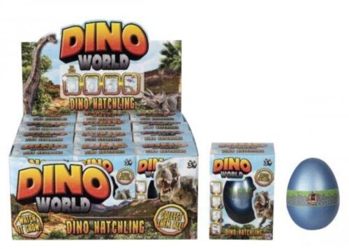 Dino World Dinosaur Egg Hatching Kit Assorted Colours