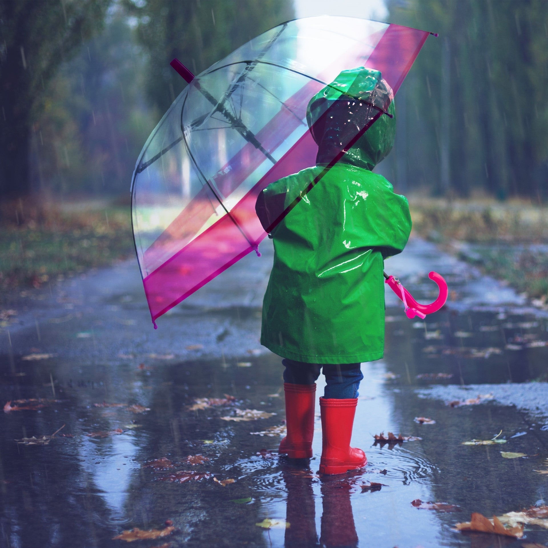 Durable Clear Kids Umbrella in Assorted Colors 485 cm